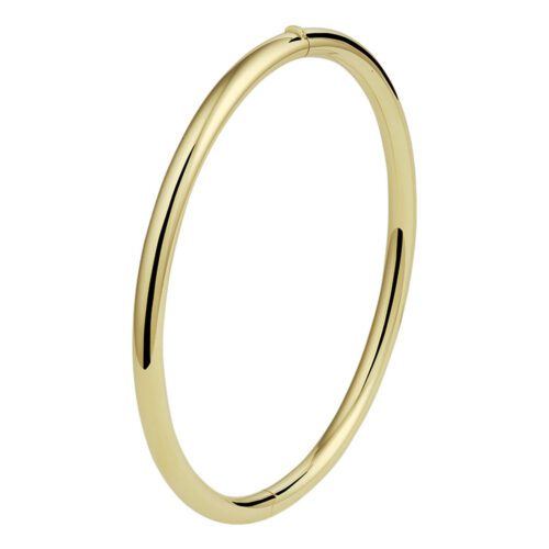 bangle scharnier massief ronde buis 4 mm